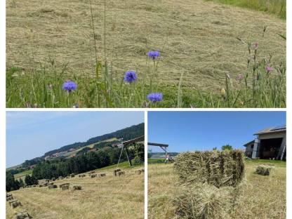 Bild 4:Bio Heu und Grummet