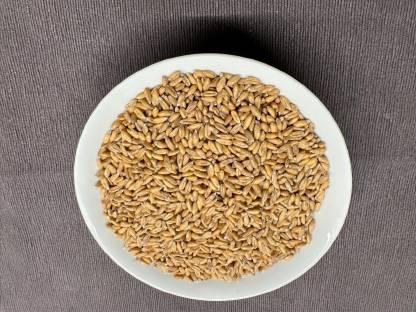 Bild 2:Dinkel BIO Ebners Rotkorn