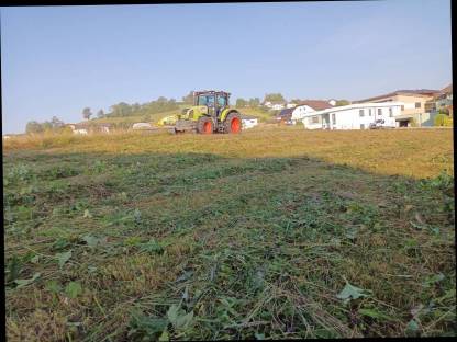Bild 3:Biete Mäharbeiten mit Claas Disco 360 an