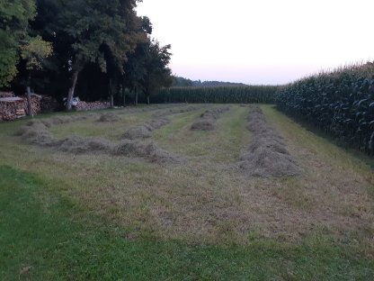 Bild 2:Kleinballen zweiter Schnitt (Grummet) - jetzt sichern