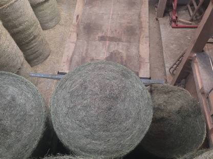 Bild 2:Verkaufe Heuballen 1,30 m