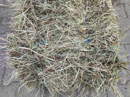 Bild 2:Heu und Strohballen