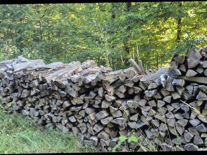 Bild 2:Buchenbrennholz