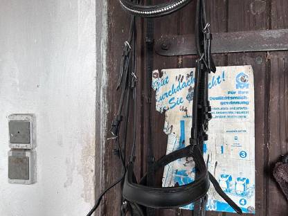 Bild 2:Zaumzeug Claridge House Albury Competition Cristal