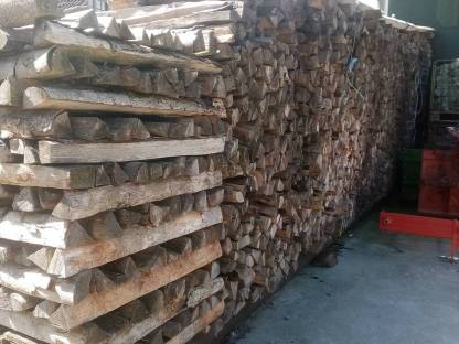 Brennholz Esche