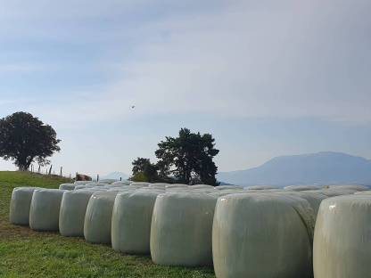 Bild 3:Maissilageballen