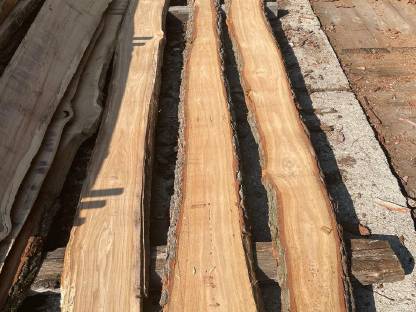 Bild 3:Eichenholz Schnittware, 30, 50 mm