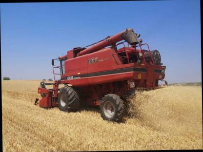 Maissieb für Axial-Flow 1660