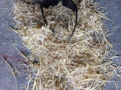 Bild 6:Stroh gehäckselt, geschnitten aus eigener Erzeugung