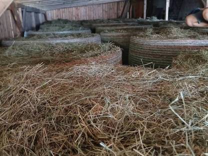 Bild 3:Heu Rundballen
