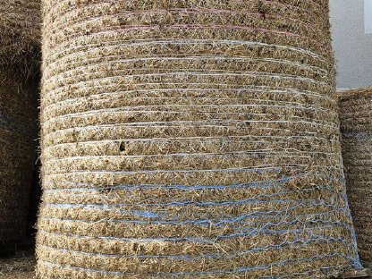 Bild 2:Verschenke Streuballen