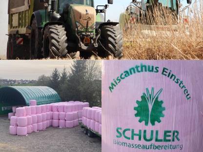 Bild 3:Miscanthus Einstreu ( Stroh) in Rundballen