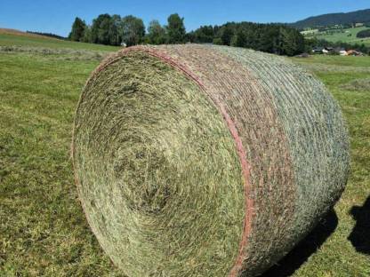 Heurundballen 2. Schnitt 2025