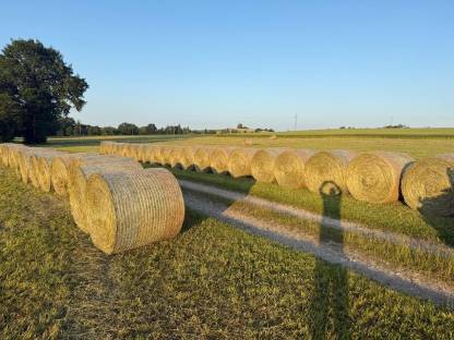 Bild 3:Bio Heu, Grummet, Heu, 2025