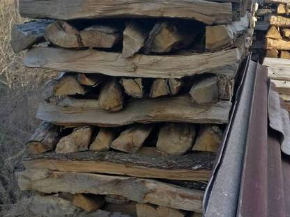 Bild 2:Brennholz Eiche