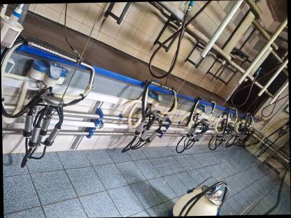 Bild 6:Mekstand und Milchtank