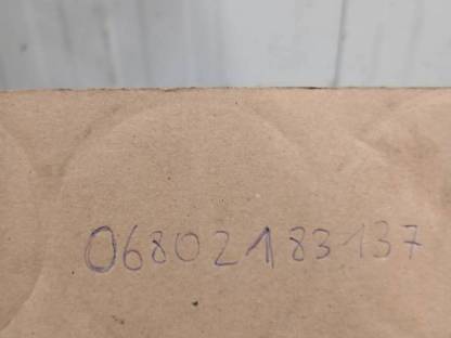 Bild 3:Eselstutfohlen