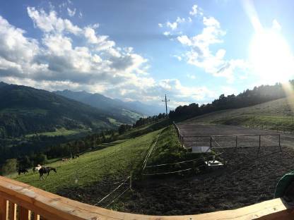 Offenstall, Paddockbox, Einstellplatz