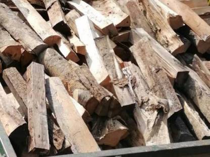 Bild 2:Brennholz