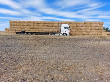 Bild 3:Stroh und Heu