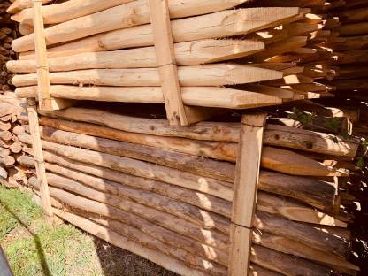 Bild 5:Akazienpfähle, Akazien Robinienpfähle, Weidezaun, Zaunpfähle