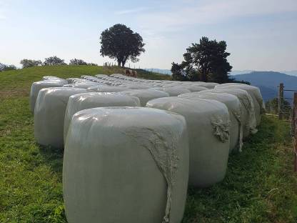 Bild 6:Maissilageballen