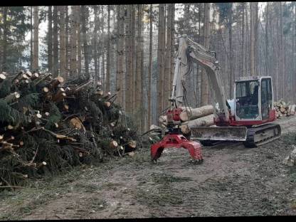 Bild 2:Forst-Service und Brennholz