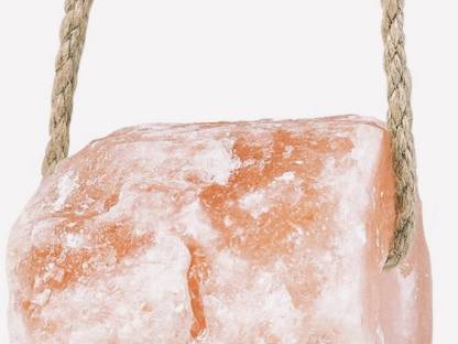 Bild 5:Wildsalz, Wild Salz, Wild Leckstein, Bergkern, Lecksteine