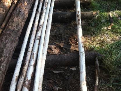 Bild 3:Rundholzpfähle Holz Zaun Rundlinge