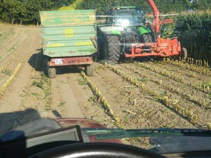 Bild 4:Kemper Champion 1200