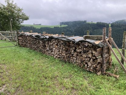 Brennholz, Scheitholz Esche