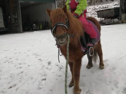 Bild 2:Shetty Wallach