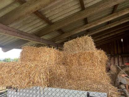 Bild 3:Heuballen und Strohballen