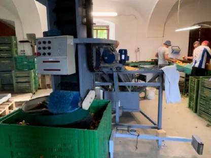 Roda automatischer Kistenfüller für Obst und Gemüse