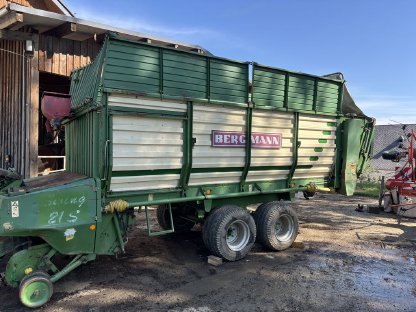 Bild 2:Bergmann Swing 21S