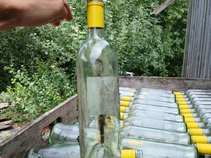 Weinflasche