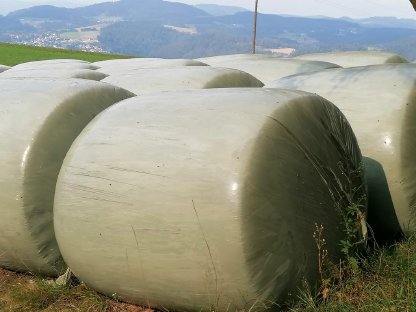 Maisballen