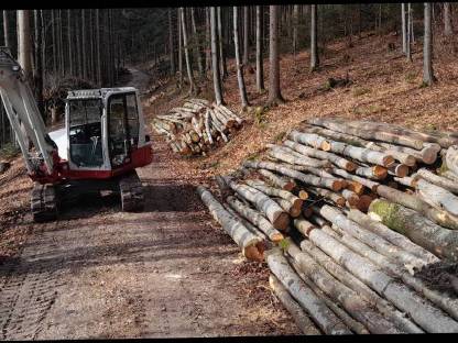 Forst-Service und Brennholz