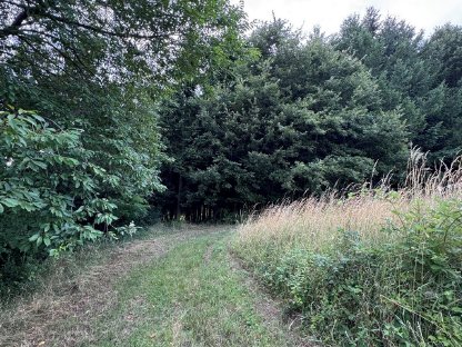 Bild 7:Acker inkl. Wald in Katastralgemeinde Großgraben