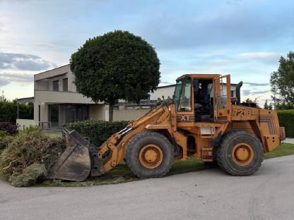 Bild 4:Erdbewegung, Baggerarbeiten, Abbruch, Rodung, Erdbau