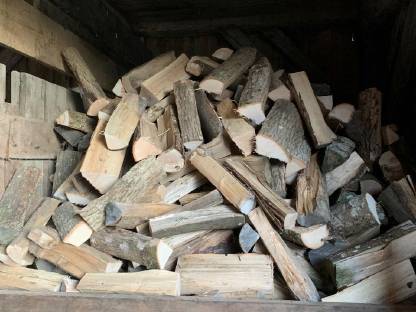 Bild 2:Esche Brennholz