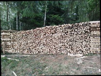 Brennholz Hart (Buche, Eiche, Ahorn) gemischt