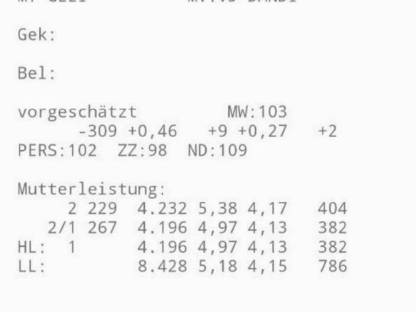 Bild 5:Jersey Rind und Kalb