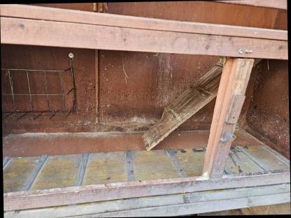 Bild 3:Hasen- und Meerschweinchenstall