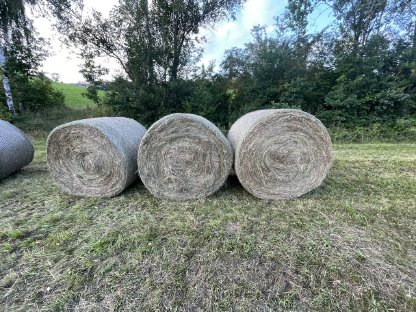 Bio Heuballen