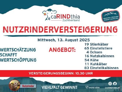 Bild 2:Einsteller Nutzrinder