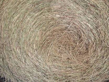 Gärheuballen foliert