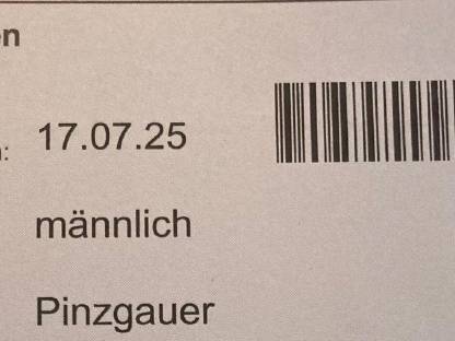 Bild 4:Pinzgauer reinrassiges Stierkalb ! Reserviert !