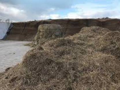 Grassilage zu verkaufen