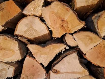 Bild 3:Brennholz